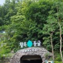 창룡사 | 활옥동굴 카약 입장료 보트예약 온도 충주당일치기여행코스 총정리
