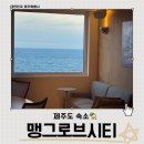 맹그로브 짐 | 제주 혼자 여행 숙소 추천 맹그로브 시티 도미토리 후기