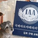 휴먼앤펫 이미지