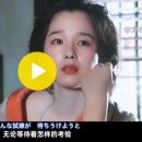 坂本冬美经典曲目《桜の如く》 이미지