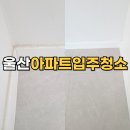 서부16길 | 울산동구서부아파트입주청소, 리모델링 먼지와 곰팡이까지 완벽 제거!