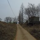 대동12차 Daum카페