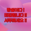 올모스트컴퍼니 이미지