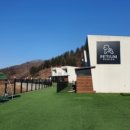 양평애견택시 이미지