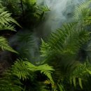 마리나장 이미지