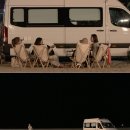 클럽21 서울신문