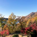 (주)드림볼 이미지