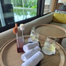 산호세탁 | 푸꾸옥 리젠트 리조트 오션뷰 스위트 객실 후기