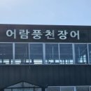 어람풍천장어