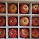 드림빌사과테마공원마을 이미지