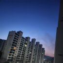 함지산 산불 이미지