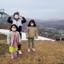 라라당구클럽 | 아이와 강원도 여행 휘닉스 평창 포레스트 파크 관광곤돌라 몽블랑 + 석식 온도 디너