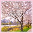 월운경로당 이미지