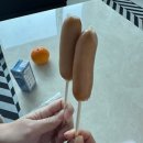 소소한하루 | 소소한 하루 (2025.12.15-12.21)