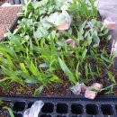 미현농장 이미지