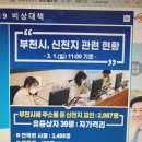 용인대탑(TOP)복싱 이미지