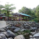 어비숲민박 이미지