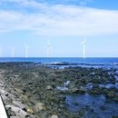 제주마중 판포 이미지