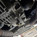 블루디젤모터스 이미지