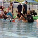 펫 월드 이미지