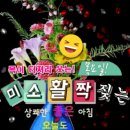 아침미소목