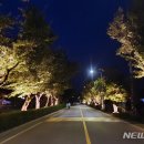 제방로 뉴시스