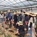 이수농장 이미지