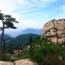 남해-219 이미지