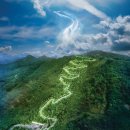 청임축산 이미지