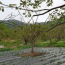 도학농장 이미지