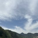 단양생태체육공원 1 | 마라톤 ; 2026단양팔경마라톤 10km 완주후기