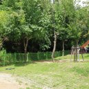 도학야영장 이미지