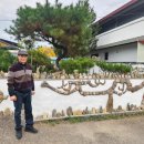 소나무(산촌마을) 이미지