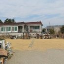 동부1번지 공인중개사사무소 | 경남고성군거류면감서리주택경매/ 2회유찰49% 봉림마을내위치 2025타경541