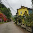 완두콩가족펜션 이미지