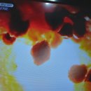 수지면 갈촌마을 이미지