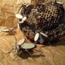 팔도농장 이미지