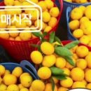 준이네농장 이미지