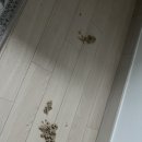 이삭세탁 이미지