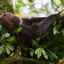 SKY KIDS POOL 이미지