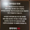롤로토바코샵