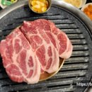 숨은금고기