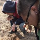 도전자네 농장 이미지