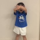 젤리도그 이미지