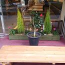 힐링카페온 이미지