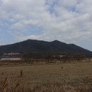 미산개발주식회사 Daum카페