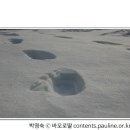 [매일복음(다해) 15-12-31] - "한처음에 말씀이 계셨다.....말씀이 사람이 되시어 우리 가운데 사셨다. 우리는 그분의 영광을 보았다."(요한 1,1-18) 이미지