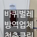 안동 비워둔집 바퀴벌레 퇴치 후기 [청춘클린]