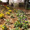 거북공원-1　 이미지