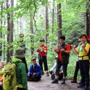 소백산 자락길 이미지